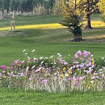 Landhotel Lembergblick Feilbingert ภายนอก รูปภาพ