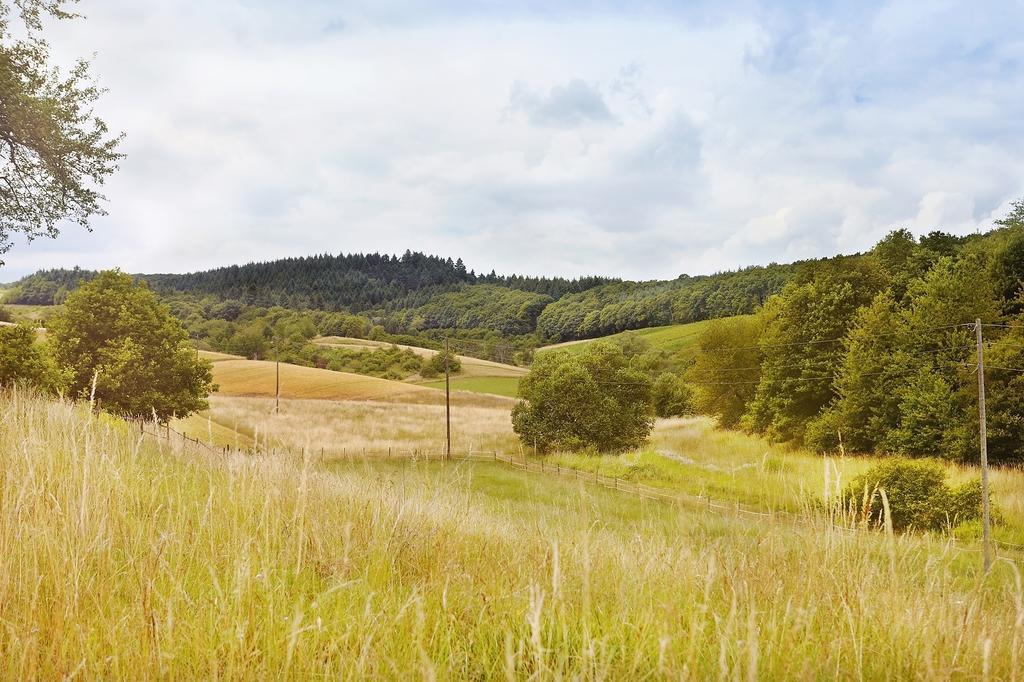 Landhotel Lembergblick Feilbingert ภายนอก รูปภาพ