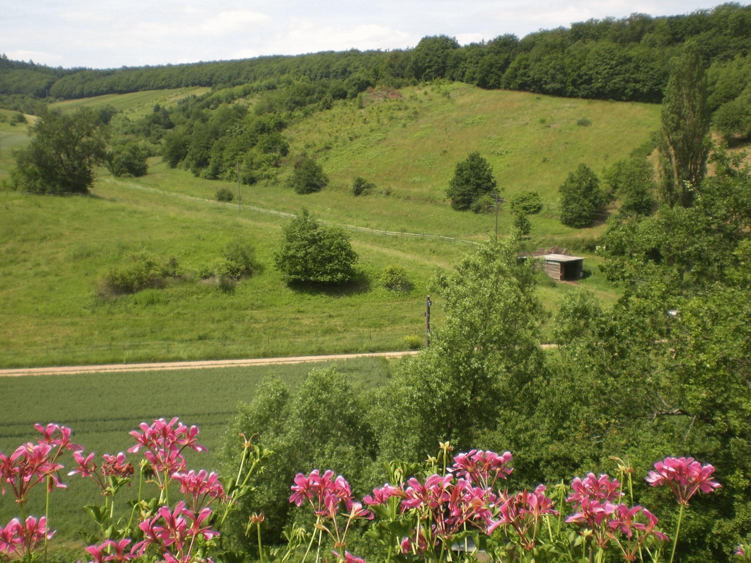 Landhotel Lembergblick Feilbingert ภายนอก รูปภาพ