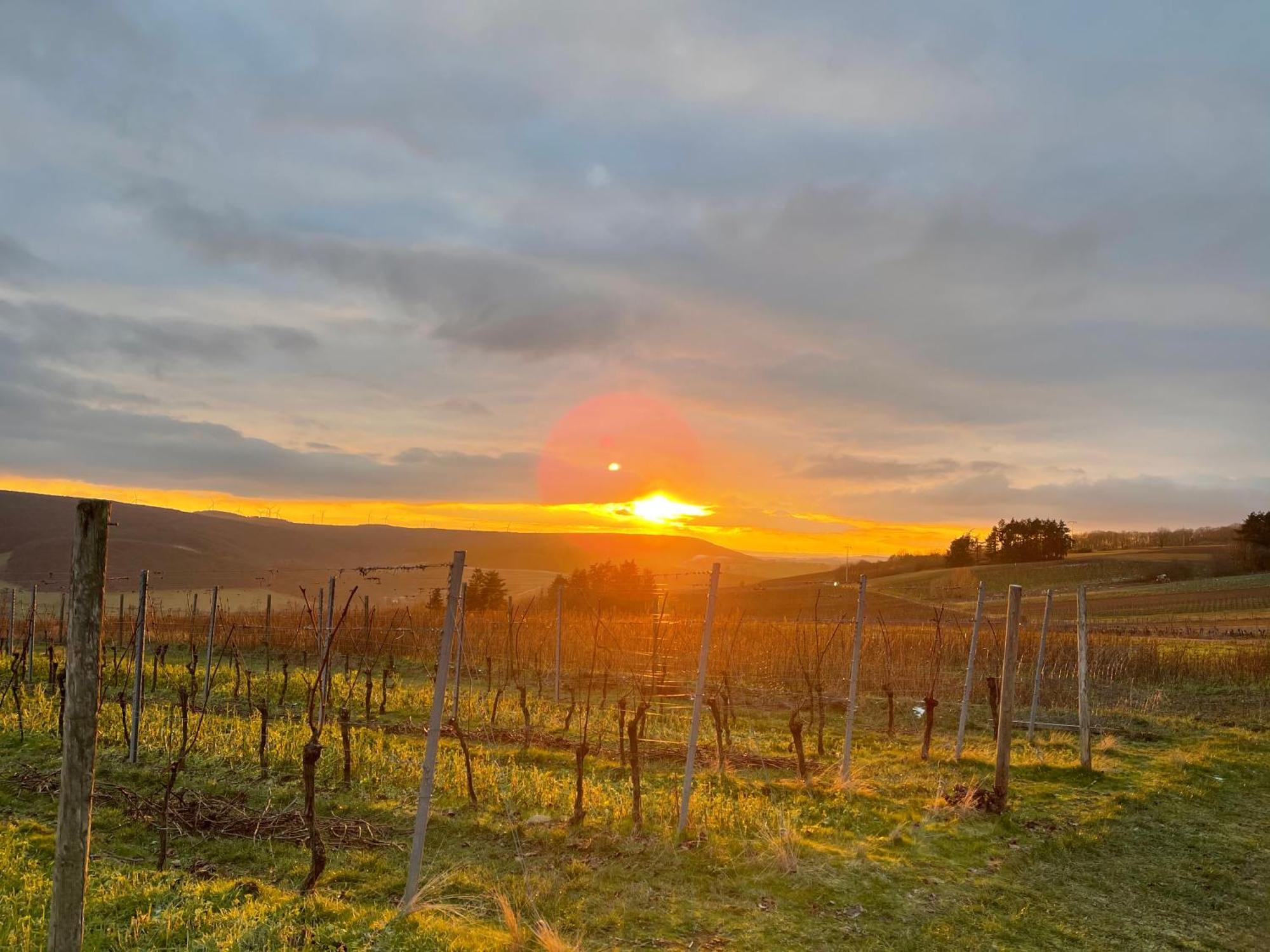 Landhotel Lembergblick Feilbingert ภายนอก รูปภาพ